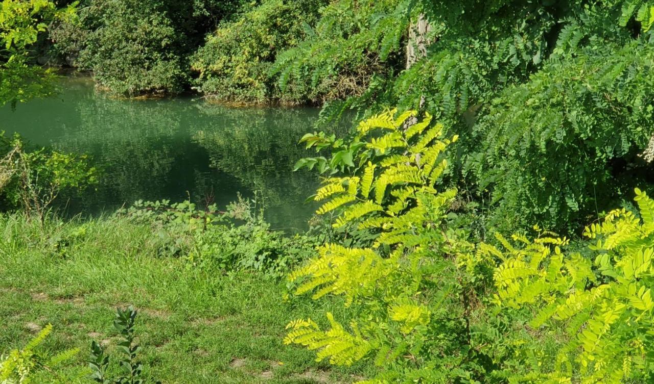 au petit canal de colmar Kunheim Exterior foto